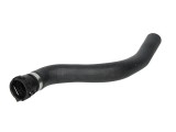 Furtun radiator FORD FIESTA V (JH, JD) (2001 - 2010) THERMOTEC DCG035TT