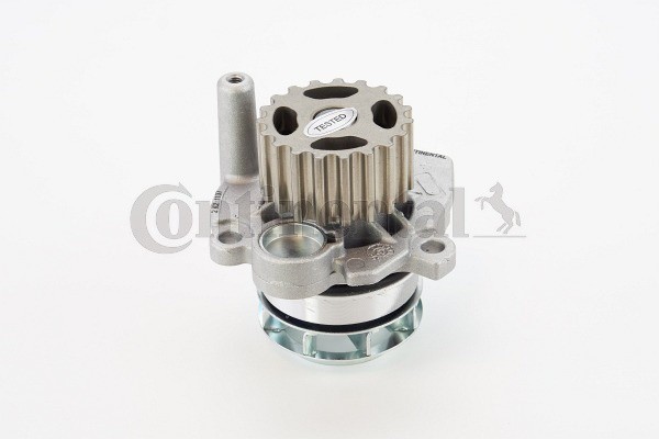 CONTINENTAL CTAM WP6072 Pompă de apă, răcire motor