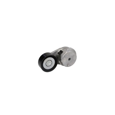 Intinzator curea CHRYSLER 300 C LX DAYCO APV2959 foto