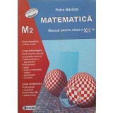 MATEMATICA. MANUAL PENTRU CLASA A XII-A M2-PETRE NACHILA-325707