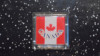 MAGNET FRIGIDER - CANADA - STEAGUL TARII.