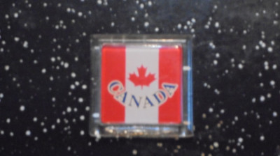MAGNET FRIGIDER - CANADA - STEAGUL TARII. foto