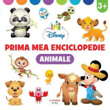 Animale. Prima mea enciclopedie (3 ani+) - Hardcover - Oana Neacșu - Litera mică