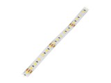 Bandă LED alb cald/alb rece, 120 LED-uri/m, 8mm - WISVA OPTOELECTRONICS