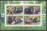 DR CONGO 2012 WWF FAUNA PROTEJATA MAIMUTE