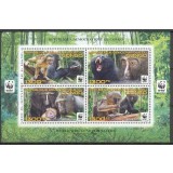 DR CONGO 2012 WWF FAUNA PROTEJATA MAIMUTE