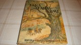 Alain Fournier - Tara fara nume - interbelica