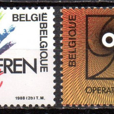 BELGIA 1988, Arta, serie neuzată, MNH