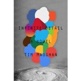 Infinite Detail