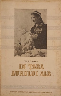 IN TARA AURULUI ALB-VASILE VOICU-239292 foto
