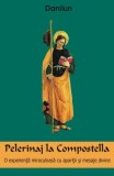 Pelerinaj la Compostella Danilun Antet Revolution Carti Religioase Paperback brosat