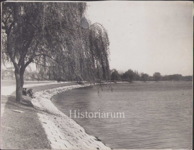 HST P2/542 Poză ofițeri aviație la lac București foto de lt av Acojocăriței foto