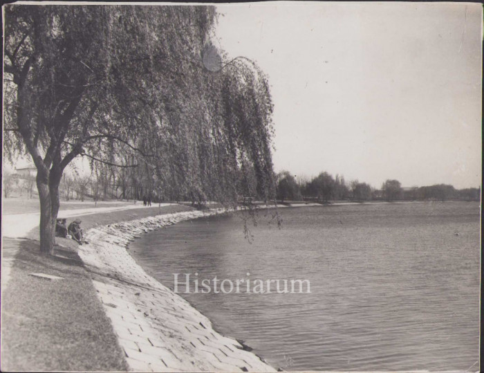 HST P2/542 Poză ofițeri aviație la lac București foto de lt av Acojocăriței