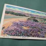Cumpara ieftin CARTE POSTALA LOS ANGELES CALIFORNIA INTERBELICA CIRCULATA