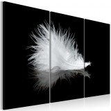 Cumpara ieftin Tablou - A small feather 60x40 cm