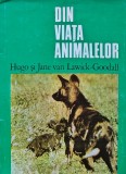 Din viata animalelor, Hugo van Lawick Goodall, 1975, Editura Enciclopedica Romana, 188 pagini, Coperta Cartonata