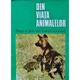Din viata animalelor - 1975 - Hugo van Lawick Goodall (BB36)
