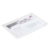 Cumpara ieftin Mapa cu capsa 241 x 354 5 buc/set Rapesco