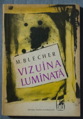 M. Blecher - Vizuina luminata (+ Corp transparent ?.a.; ed. Sa?a Pana) foto