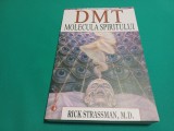 DMT: MOLECULA SPIRITULUI * RICK STRASSMAN / 2007 * 14