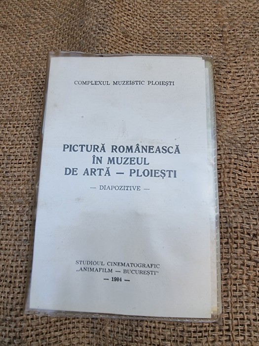 Diapozitive Pictura Romaneasca in Muzeul de Arta Ploiesti