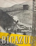 Bicazul, vol. I. O pagina mareata din istoria patriei noastre