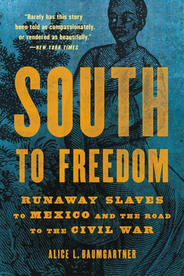 South to Freedom: Runaway Slaves to Mexico and the Road to the Civil War foto