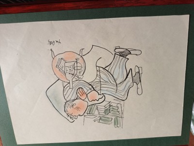 desen penita ,Tia PELTZ,Caricatura benzi desenate , intamplari hazlii , color foto