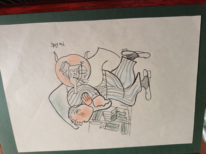 desen penita ,Tia PELTZ,Caricatura benzi desenate , intamplari hazlii , color