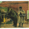 4598 - URSARI, Romania - old postcard - used - 1907 - TCV