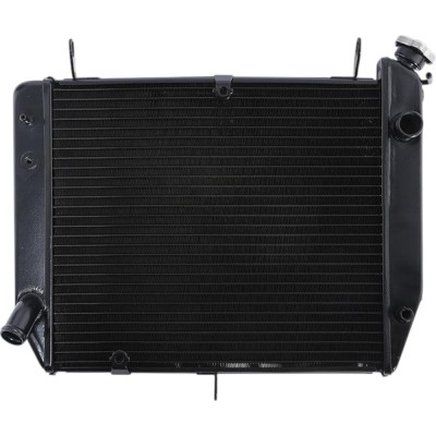 Radiator Yamaha YZF R1 2000-2001 foto