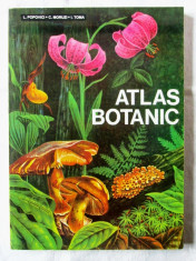 &amp;quot;ATLAS BOTANIC&amp;quot;, L. Popovici / C. Moruzi / I. Toma, 1993 foto