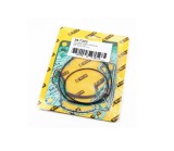Set garnituri Top-End motor BETA 300 RR 13- 21, Xtrainer 300 Prox 36.7323