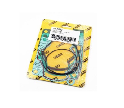 Set garnituri Top-End motor BETA 300 RR 13- 21, Xtrainer 300 Prox 36.7323 foto