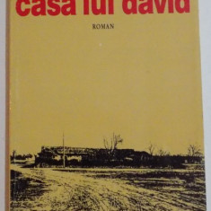 CASA LUI DAVID de DUMITRU NICODIM , 1996