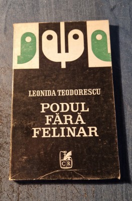 Podul fara felinar Leonida Teodorescu foto