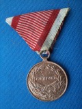 MEDALIA FORTITUDINI (PENTRU SPRIJINIREA ARMATEI AUSTROUNGAREIN RAZBOI)/ 1