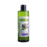 Cumpara ieftin Botanics sampon cu Salvie 500ml - Rezistenta si Vitalitate pentru Parul Fragil
