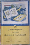 Calauza Tanarului Naturalist - G. Hoepfner Draghinescu, 1957, Editura Tineretului, Biologie, Carte Veche
