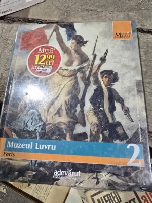 MUZEUL LUVRU PARIS-CORINA GADIUTA foto