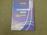 DETERMINANTI MICSTI PETRU ROTARU 17/1