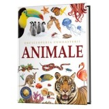 Enciclopedia cunoasterii. Animale
