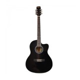 Chitara acustica Flame CAG 230 C BK Negru
