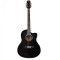 Chitara acustica Flame CAG 230 C BK Negru