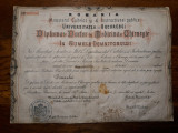 DIPLOMA DOCTOR IN MEDICINA SI CHIRURGIE - PER. CAROL I - SEMNATA T. MAIORESCU