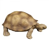 Set Figurine Animale Salbatice, 5 Bucăți, Multicolor, Oem