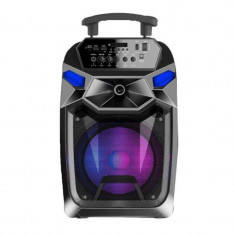 Boxa portabila karaoke S12 JRH, microSD card, USB, AUX in, bluetooth, display digital foto
