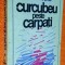 Curcubeu peste Carpati - Alexandru Andritoiu