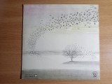 Vinil Genesis - Wind &amp; Wuthering (EX) Charisma 1976 Germany - LP German Pressing