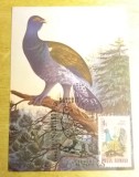 C12 - maxima Romania - tematica pasari 8 - prima zi a emisiunii sau expozitii, Romania de la 1950, Fauna